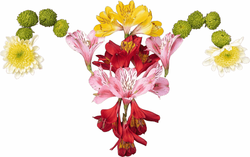 beautiful-flower-still-life-ovary