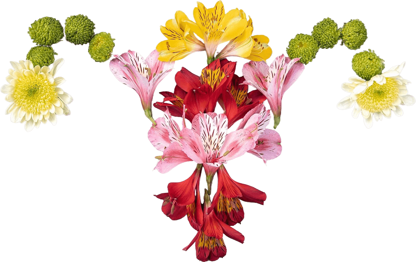 beautiful-flower-still-life-ovary